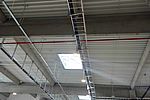 morepic-5