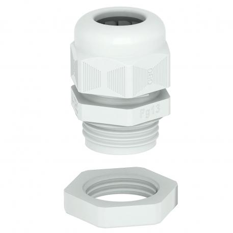 Presetupă, filet PG, set cu contrapiuliţă, gri deschis  |  | Pg 36 | nu | gri deschis; RAL 7035