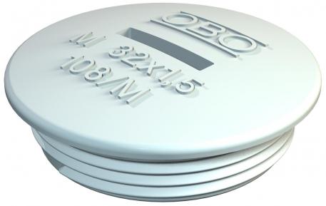 Şurub de blocare, filet metric M50 x 1,5